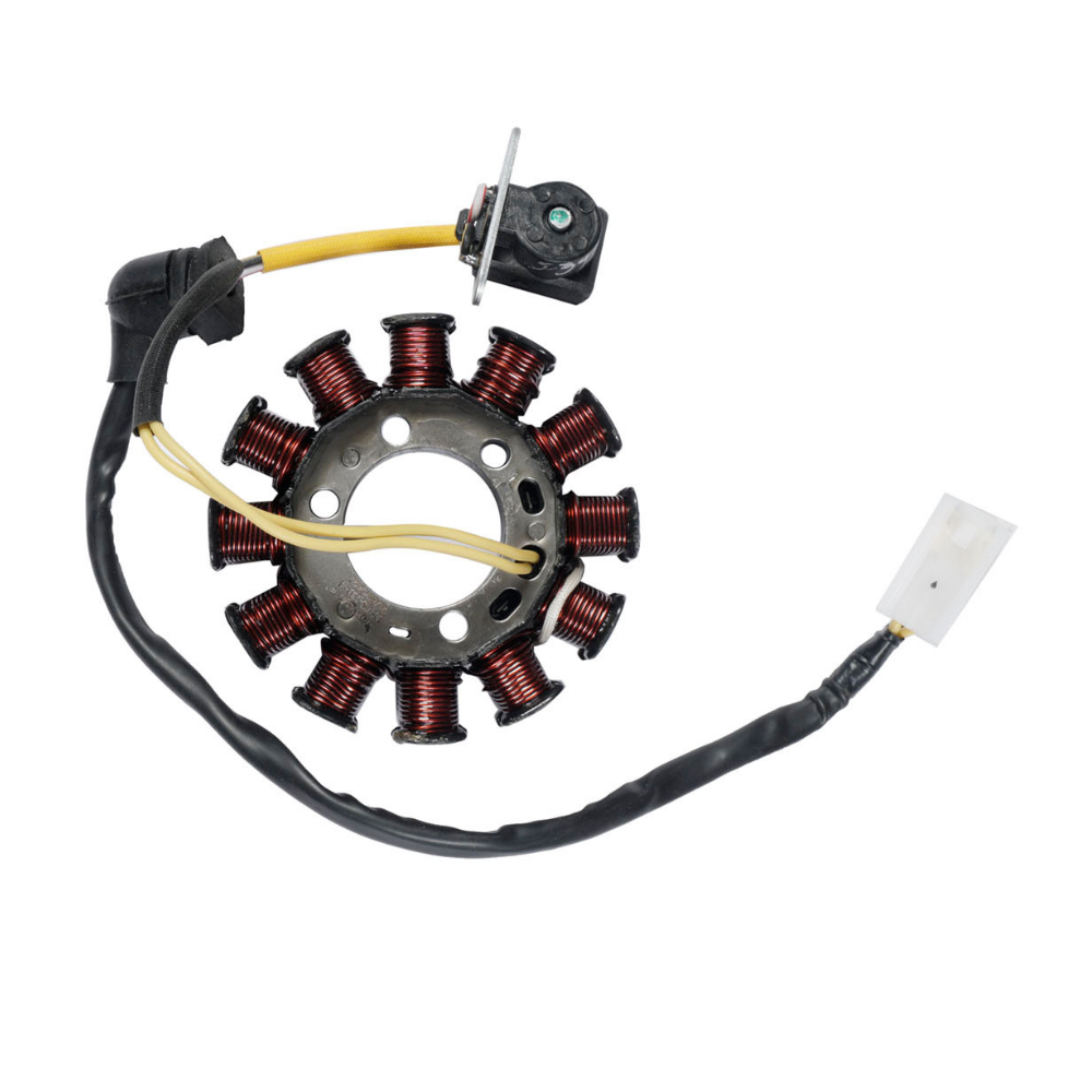 Deutsche Stator / Coil Plate Assly. Bajaj Pulsar 200 NS