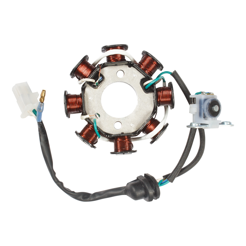 Deutsche Stator / Coil Plate Assly.  Hero CD Deluxe (2006 To 2010 Model)