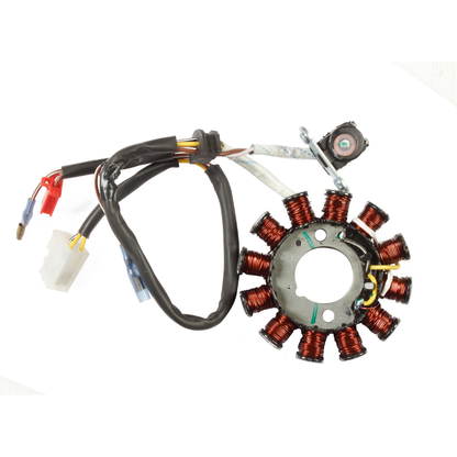 Deutsche Stator / Coil Plate Assly.  TVS Star City+ 110 (2014 To 2016 Model)