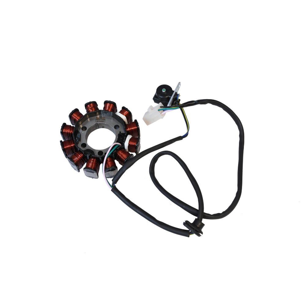 Deutsche Stator / Coil Plate Assly.  Hero Pleasure 110 BS-VI