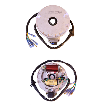 Deutsche Stator / Coil Plate Assly.  Hero SS