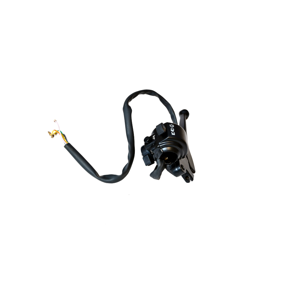 Deutsche Combination Switch for TVS AX 100 (LH)